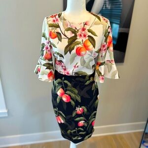 Ted Baker London Midi Dress🍑🍃✨